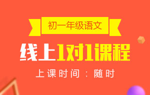 初一年級(jí)語(yǔ)文線上1對(duì)1課程