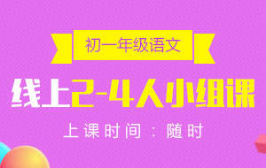 初一年級(jí)語(yǔ)文線上2-4人小組課