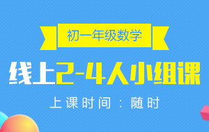 初一年級(jí)數(shù)學(xué)線上2-4人小組課