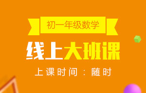 初一年級(jí)數(shù)學(xué)線上10人大班課