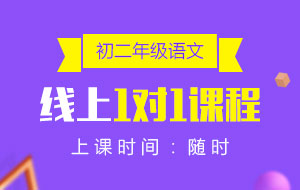 初二年級(jí)語(yǔ)文線上1對(duì)1課程