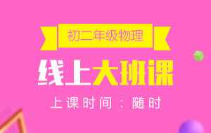 初二年級(jí)物理線上10人大班課