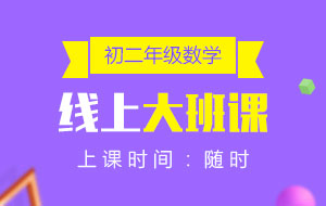 初二年級(jí)數(shù)學(xué)線上10人大班課