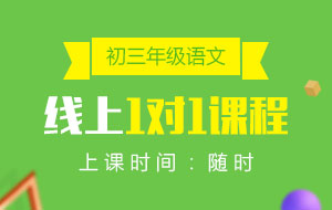 初三年級(jí)語(yǔ)文線上1對(duì)1課程