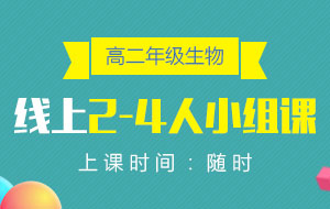 高二年級(jí)生物線上2-4人小組課