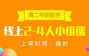 高二年級(jí)數(shù)學(xué)線上2-4人小組課