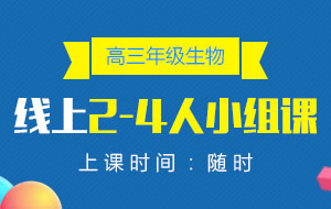 高三年級(jí)生物線上2-4人小組課